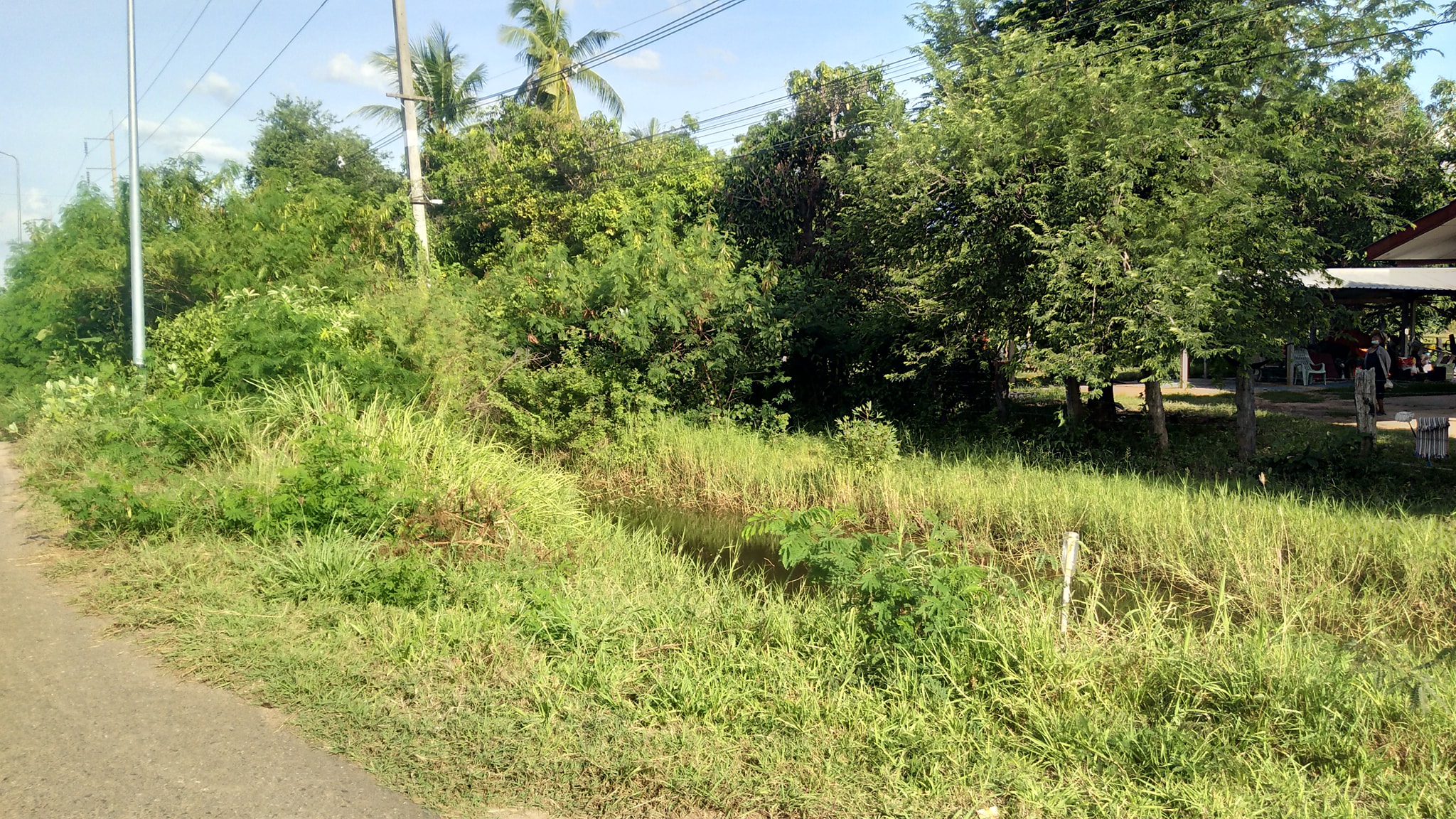 ขายที่ดิน ที่เปล่าแปลงสวย เมืองสุรินทร์ 0-2-3.3