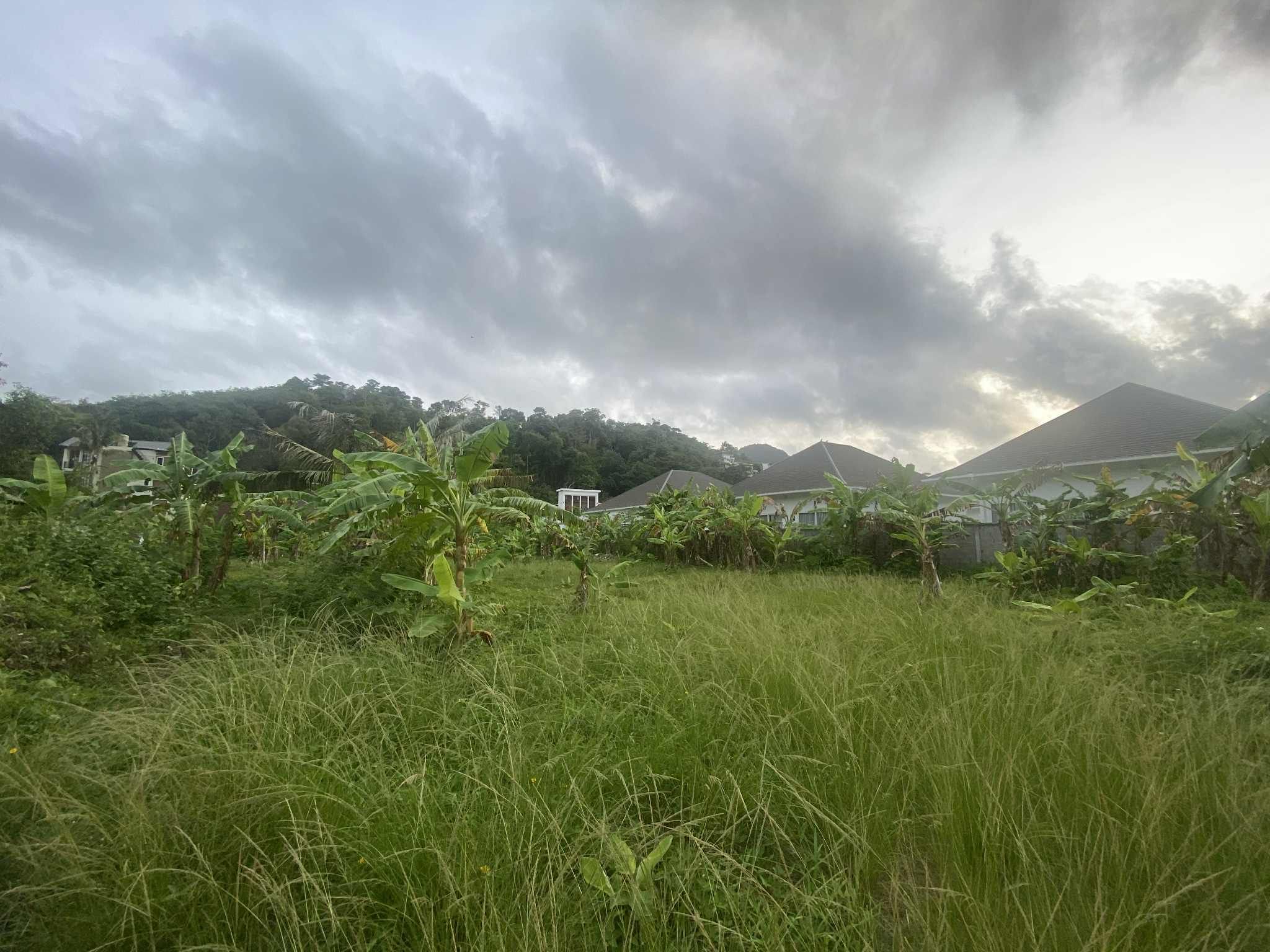 ที่ดินกมลาภูเก็ต 