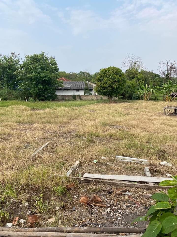 ที่ดินเปล่า ด้านหน้าติดถนน อ.แม่แตง จ.เชียงใหม่ 1-3-32 ไร่