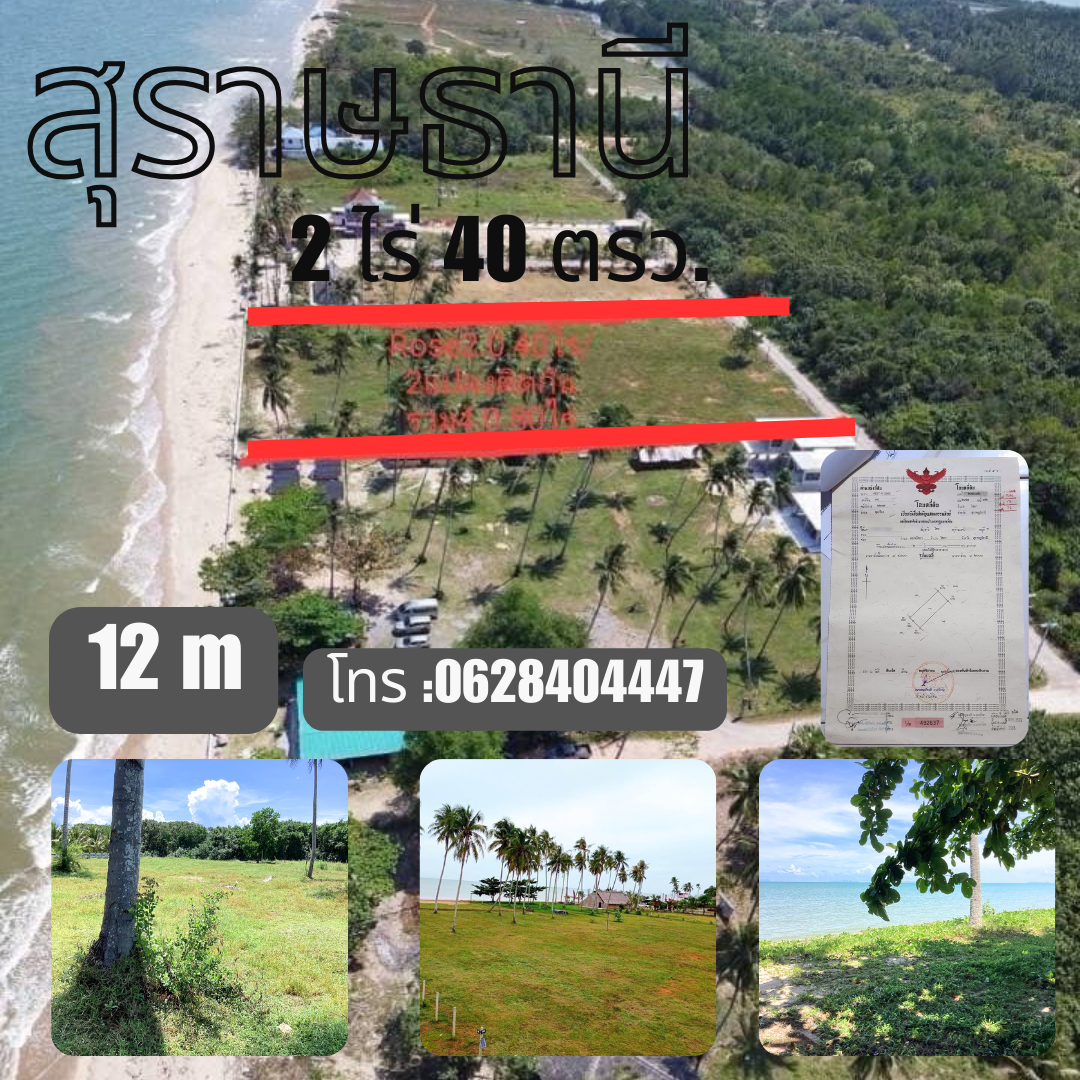 ขายที่ดินสุราษฏร์ธานี  ไชยา ติดทะเล จำนวน 2 ไร่ 40 ตรว 