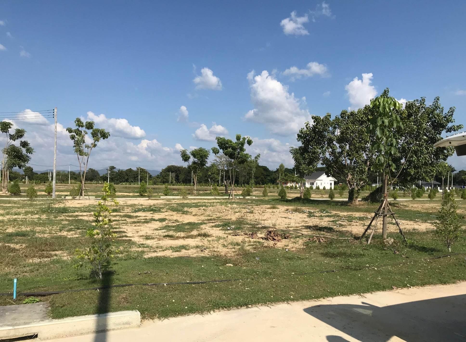 ขายที่ดินปลูกบ้านดอยสะเก็ด เชียงใหม่ 0-0-62.3