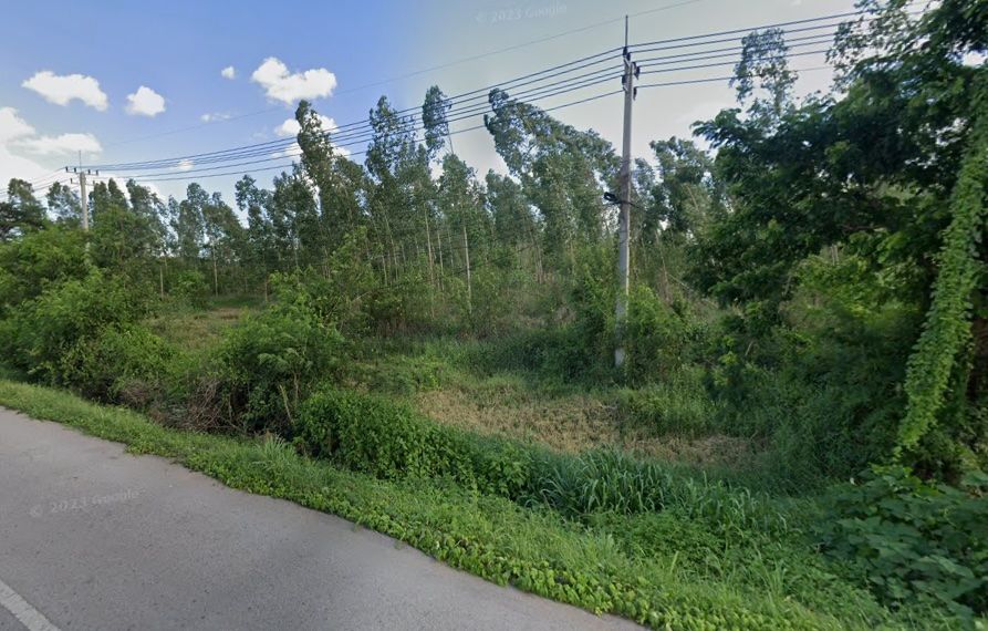 ขายที่ดิน อ.วังสะพุง จ.เลย 17 ไร่ 63 ตรว. ราคาไร่ละ 4.5 ล้านบาท