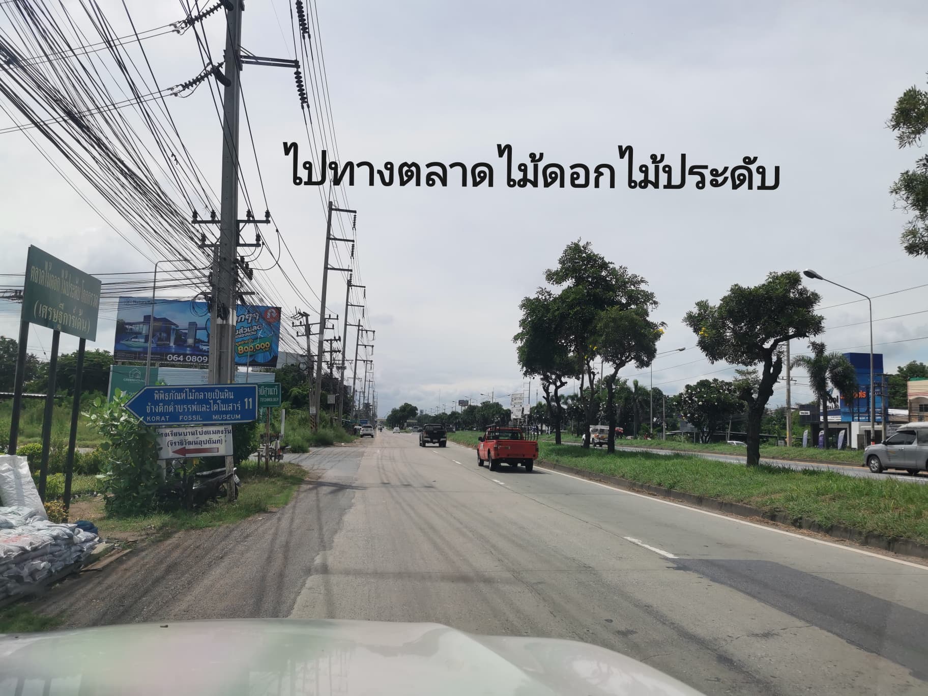 ที่ดินเปล่าโฉนดสวย นครราชสีมา
