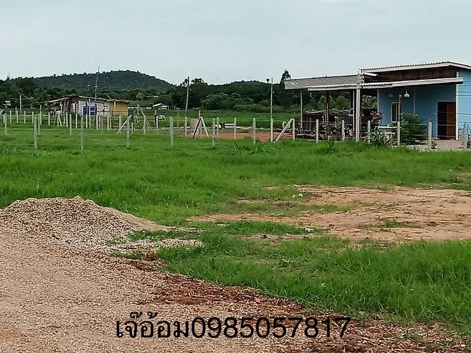ที่ดิน หนองตากยา อ.ท่าม่วง จ.กาญจนบุรี. 150ตารางวา