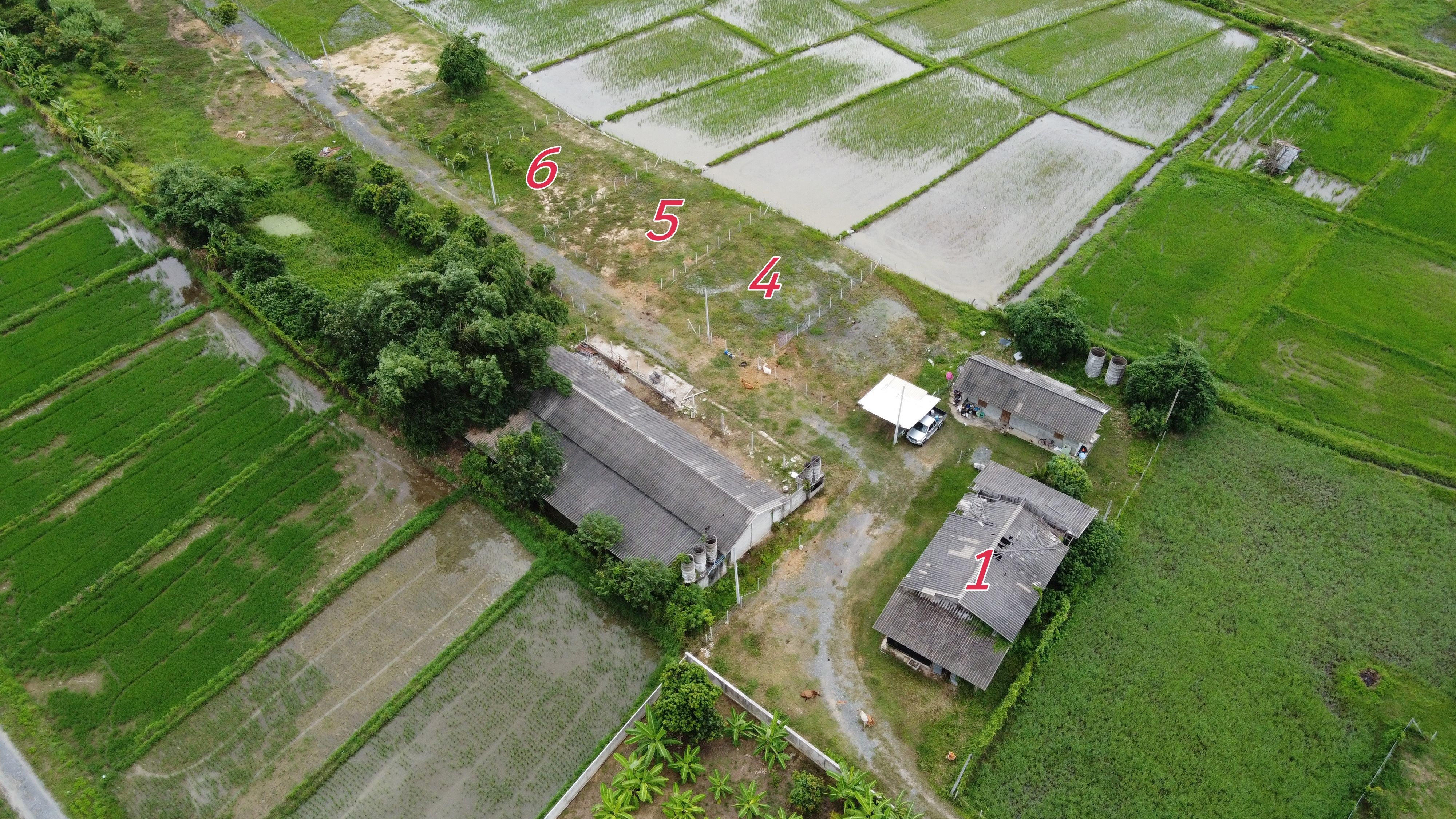 ขายที่ดิน 100 - 112 ตร.ว. จำนวน 4 แปลง (ถมแล้ว วิวดอยและทุ่งนา บ้านสันโค้ง)