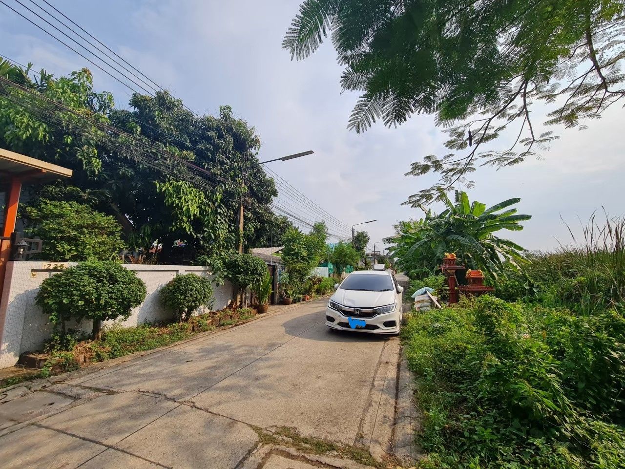 ขายด่วน!!! ที่ดินเปล่า 50 ตร.ว. ใกล้ฟิวเจอร์พาร์ครังสิต ซอยรังสิต-นครนายก 59