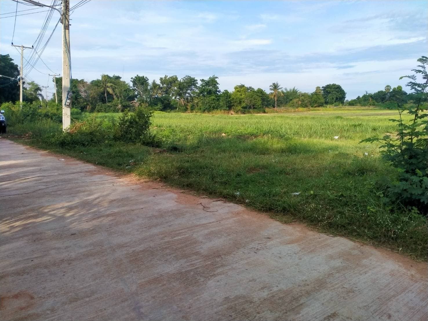 ที่ดินเปล่า อ.จตุรัส จ.ชัยภูมิ 5-1-90ไร่