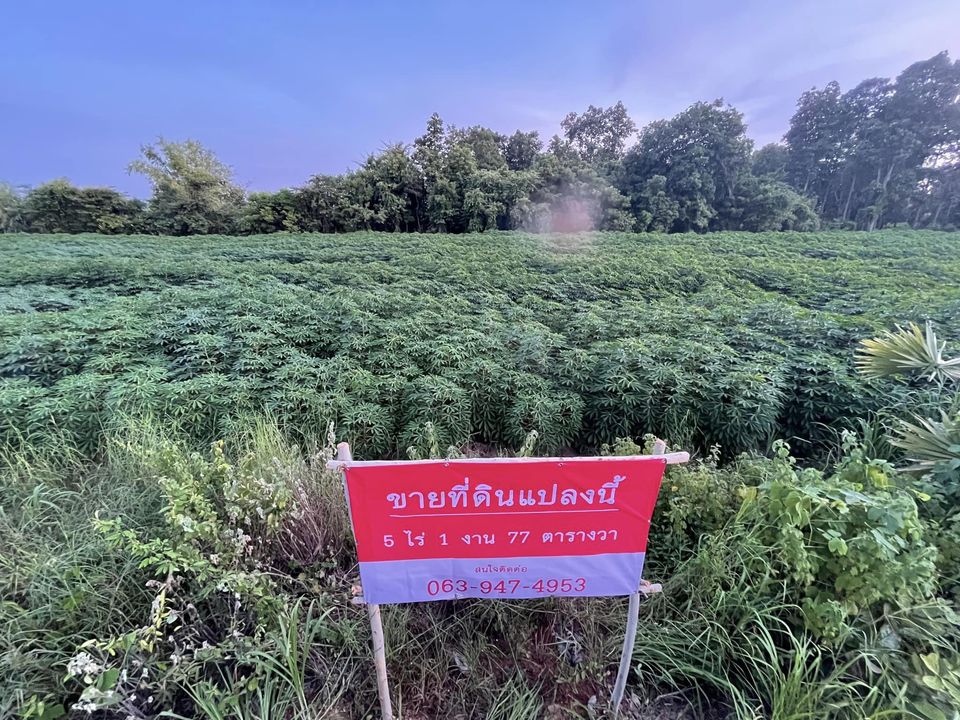ขายที่ดิน อุบลราชธานี 5-1-99 ไร่