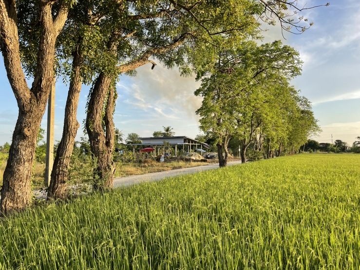 ขายที่ดินสุพรรณบุรี สามชุก 1-2-0ตารางวา