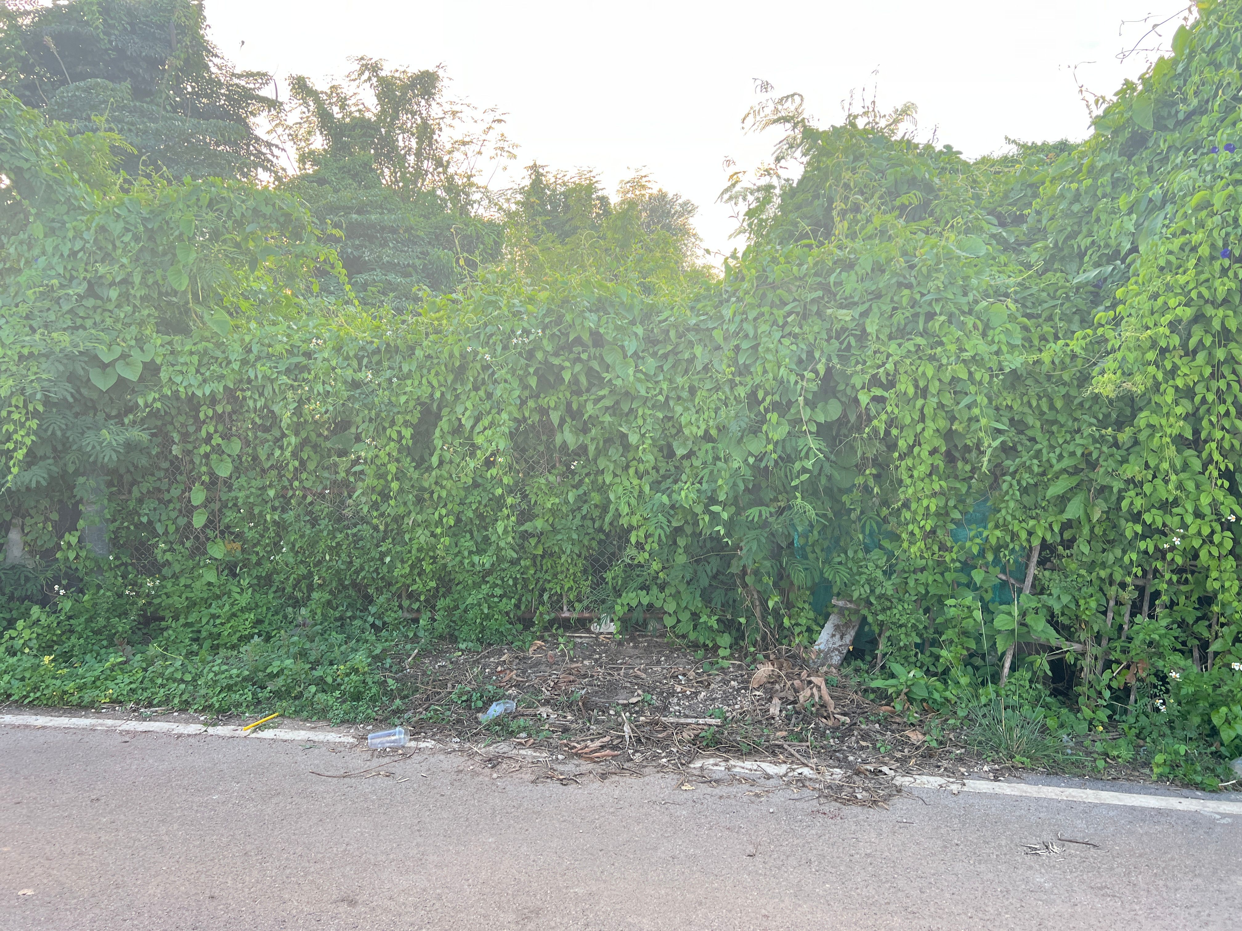 ขายที่ดิน ลำปาง เจ้าของขายเอง