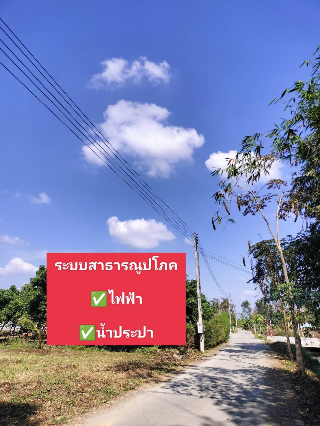 ขายที่ดินพร้อมจัดสรรค์ เหมาะสำหรับสร้างบ้านจัดสรรค์