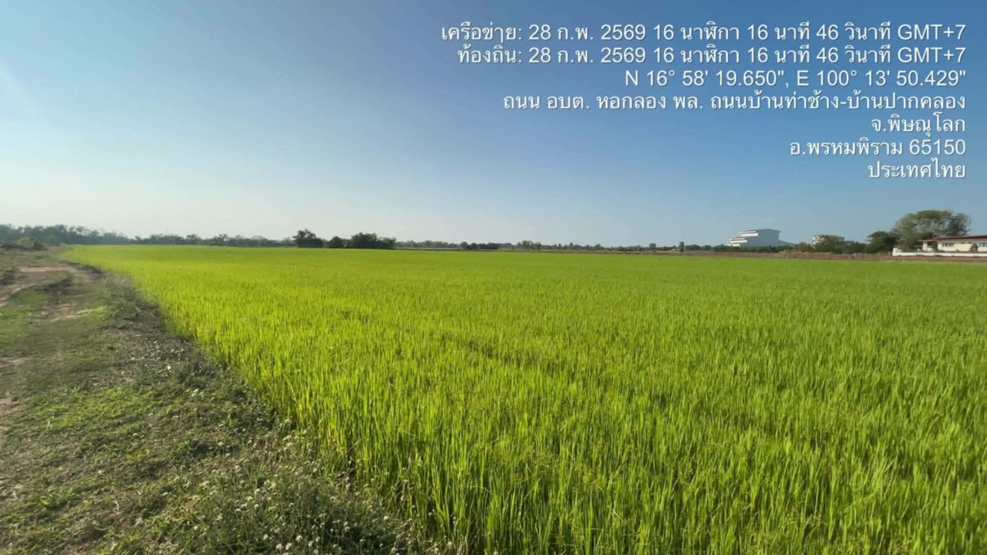 ขายด่วน! ที่ดินสวยแปลงใหญ่ ติดถนนหลัก เข้าออกสะดวก ทำเลน่าลงทุน