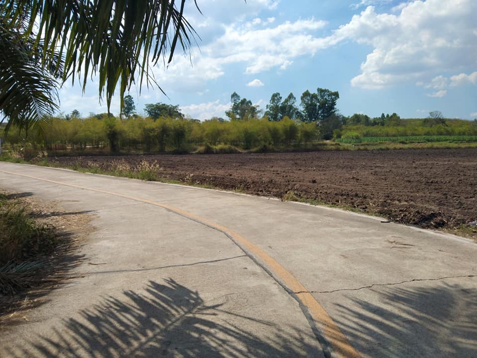 ที่ดินเปล่า 28-0-4 อ.บ่อทอง จ.ชลบุรี