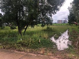 ขายที่ดิน ใกล้ ม.แม่ฟ้าหลวง เชียงราย 2 ไร่