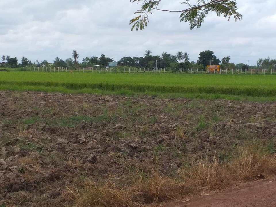 ที่ดินเปล่า พิษณุโลก 6-2-33.4