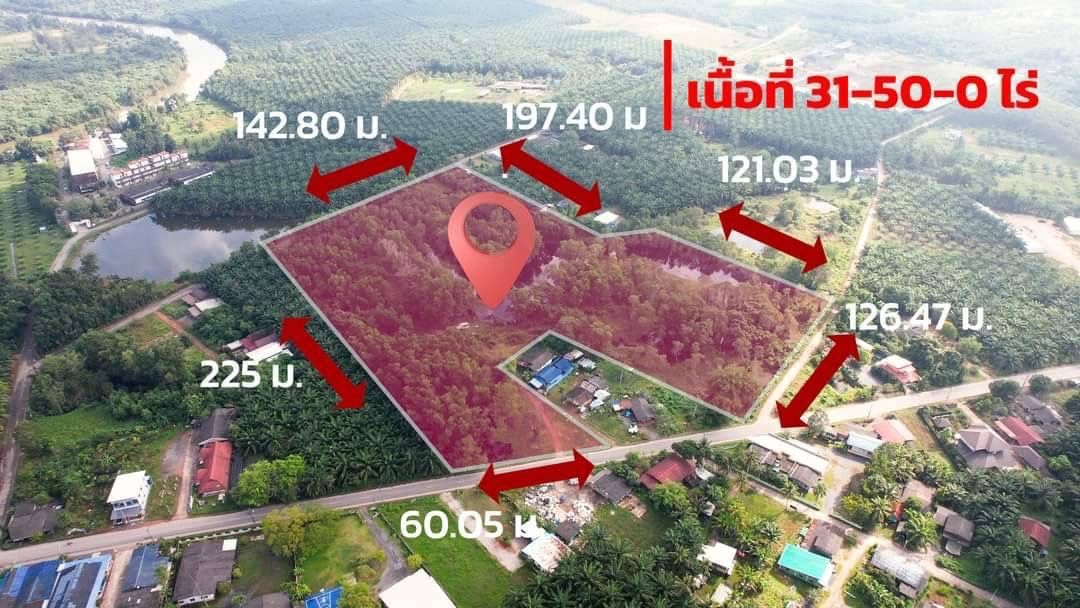 ขายที่ดิน สุราษฎร์ธานี 31 ไร่