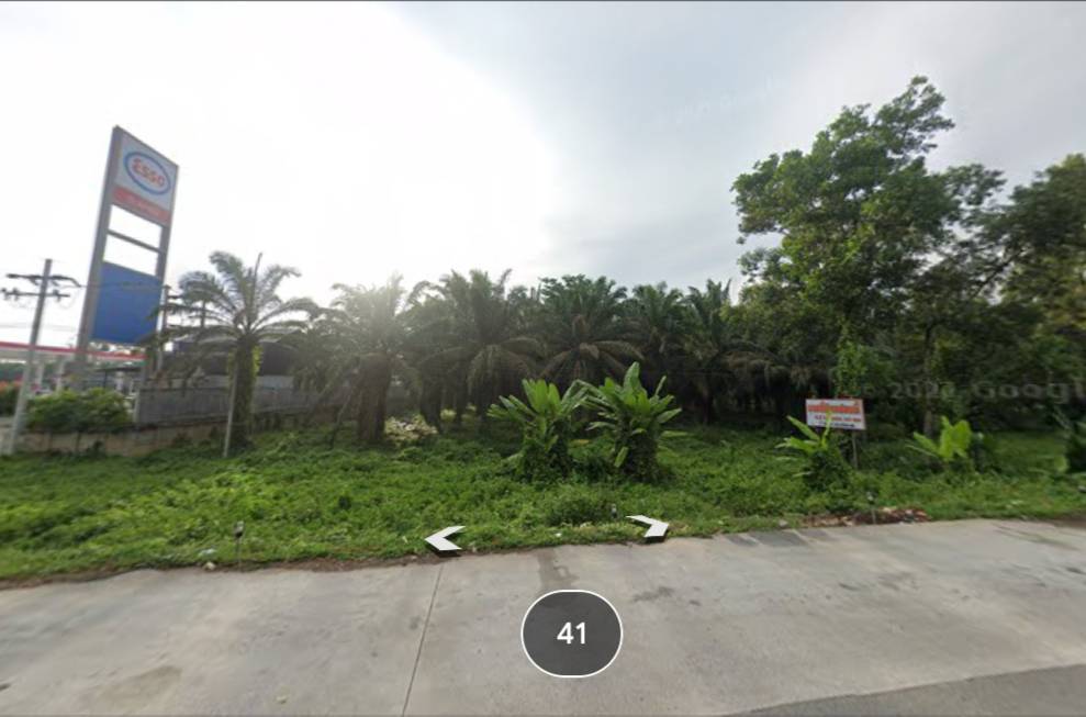 ขายที่ดิน สุราษฎร์ธานี 4-2-53.6 ไร่