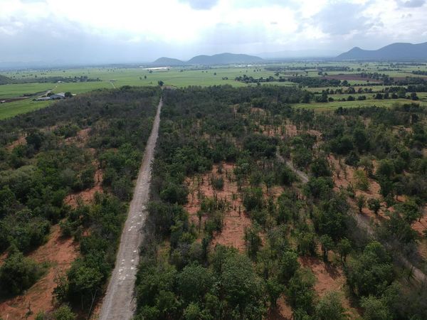 ที่ดินเปล่า อู่ทอง สุพรรณบุรี 2 งาน