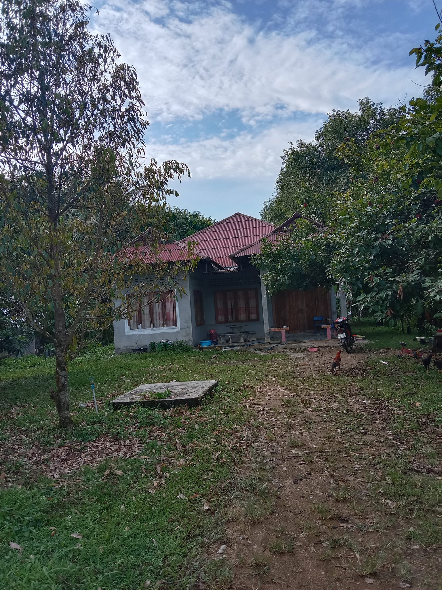 ขายบ้านพร้อมที่ดิน อ.พิปูน จ.นครศรีธรรมราช 1-1-6.5