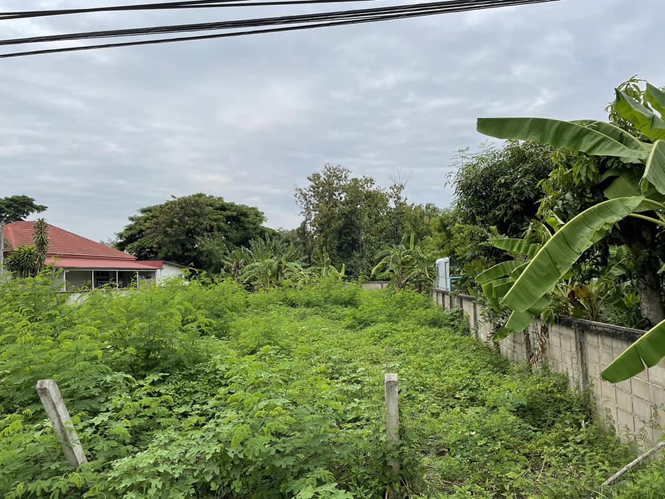 ขายที่ดิน ลำปาง 344 ตรว.
