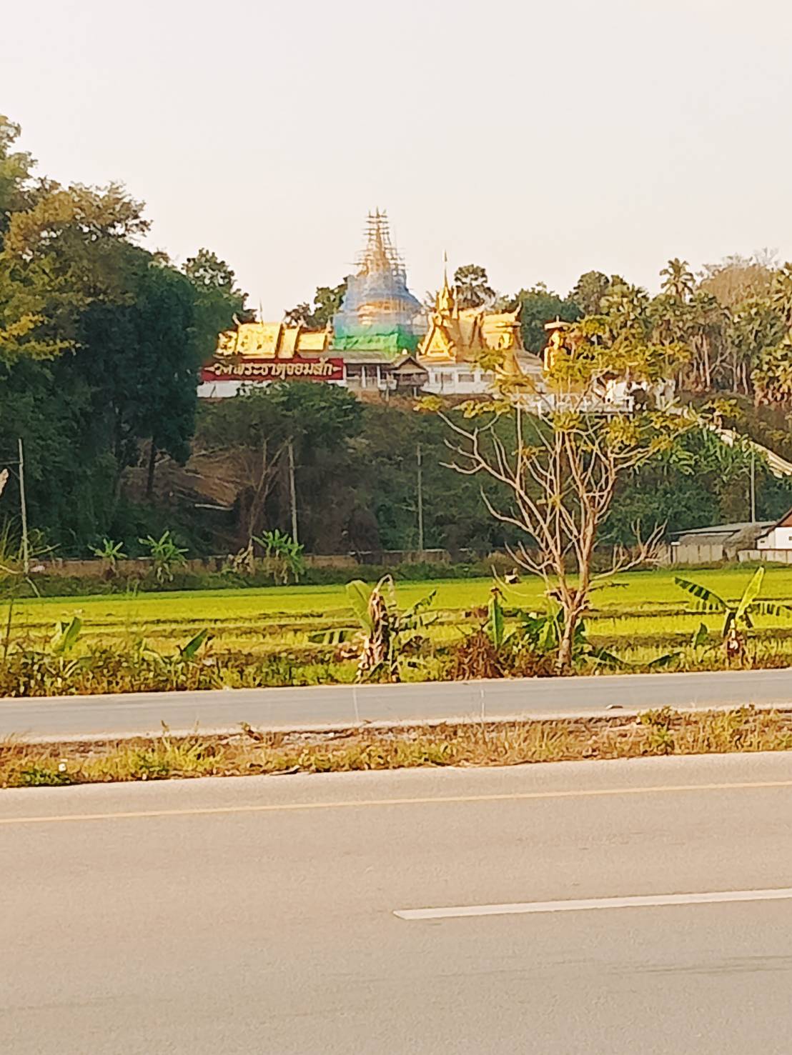 ขายที่ดินเชียงราย 17-3-2.5