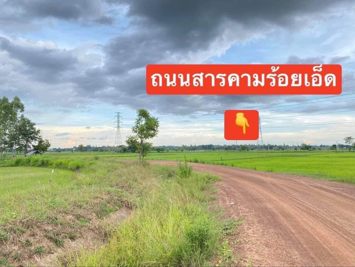 ขายที่ดิน ร้อยเอ็ด 3-3-81 ไร่