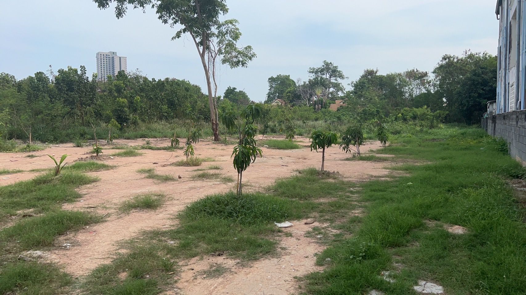 ที่ดินพัทยาเหนือสาย 3 ติดโรงแรม