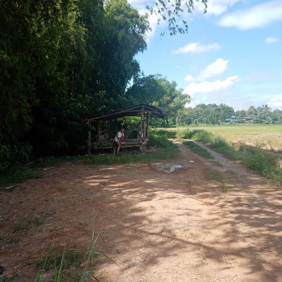 ที่ดินทุ่งนา แพร่ 3-3-85 ไร่