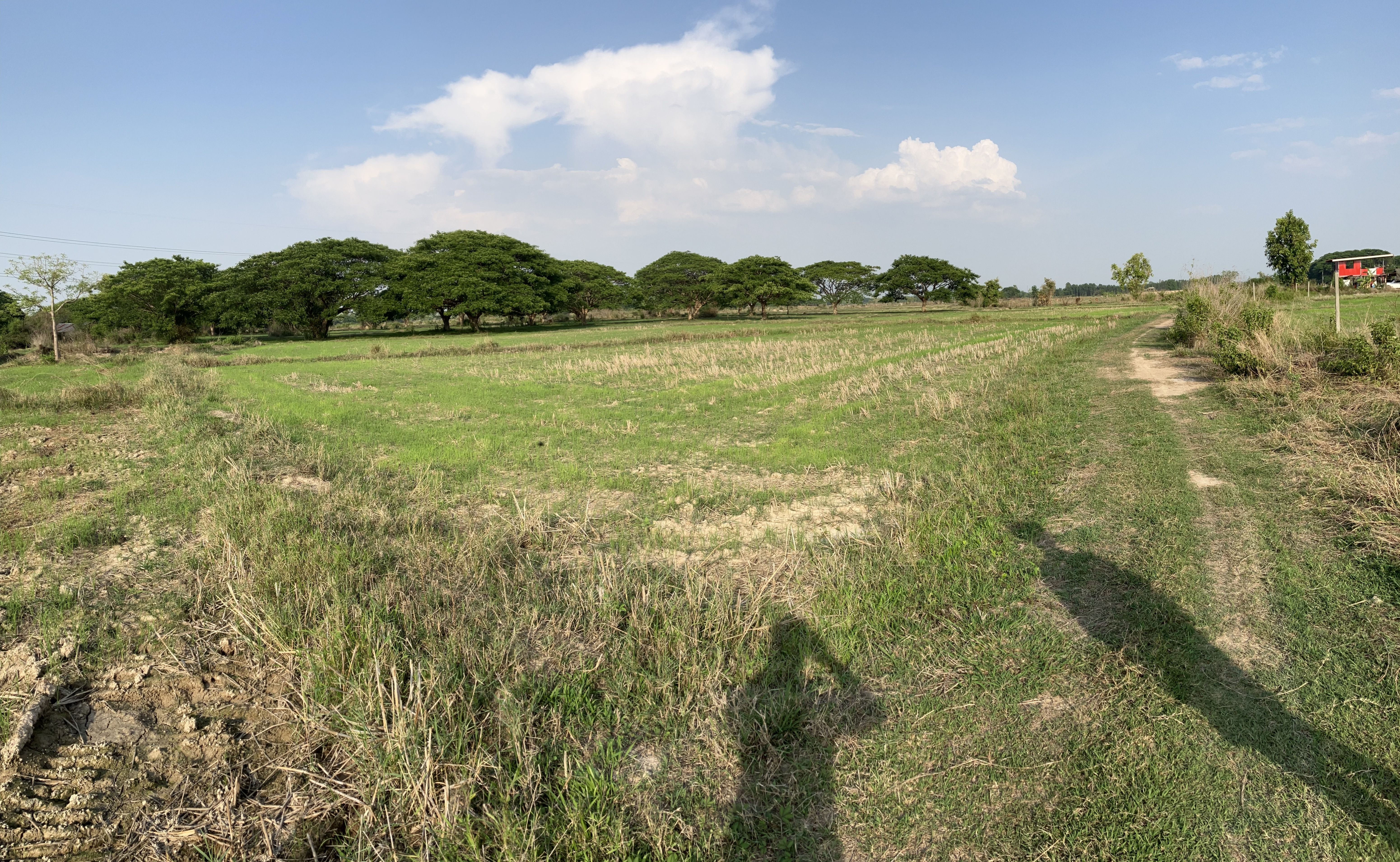 ที่ดิน บ้านกาดใต้ ปงแสนทอง เมืองลำปาง