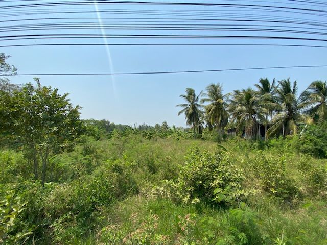 ขายที่ดินติดถนนเพชรเกษม ใกล้สี่แยกบ่อนอก