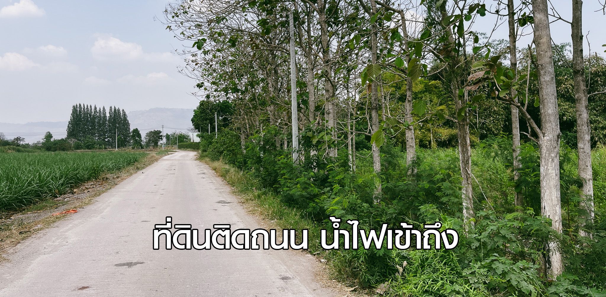 ที่ดินวิวภูเขา 4 ไร่ ปากช่อง นครราชสีมา