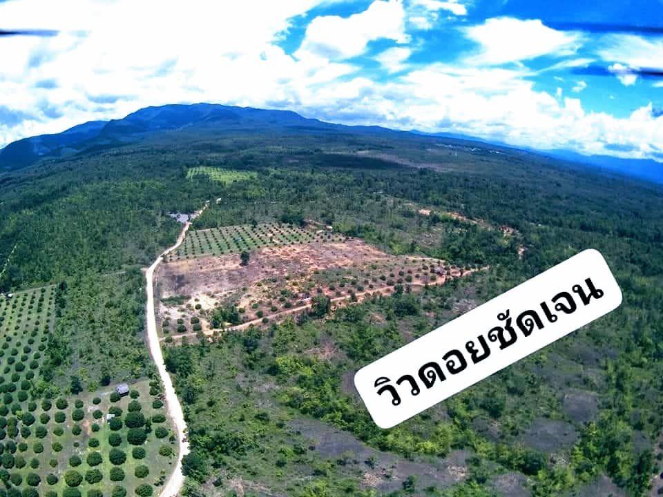 ทีดิน  เหมาะสร้างรีสอร์ท บ้านพักตากอากาศ ทำการเกษตร เชียงใหม่ 5-2-83