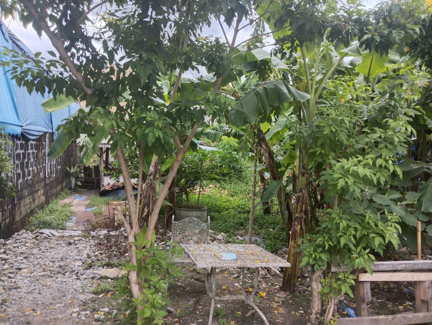 ขายที่ดินเขตบางเขน กรุงเทพมหานคร