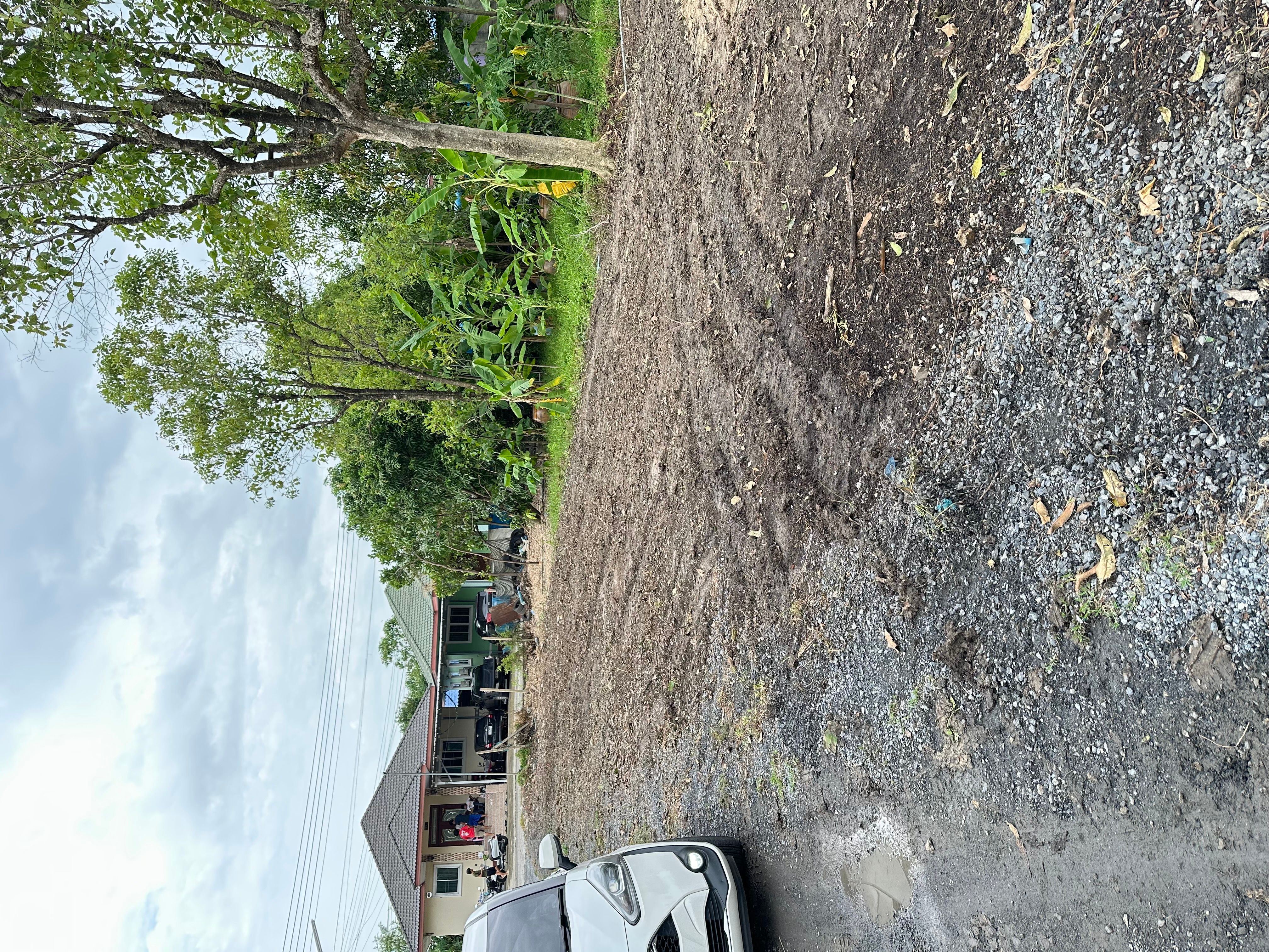 ขายที่ดินปทุมธานี อำเภอเมือง ที่ดินเปล่า