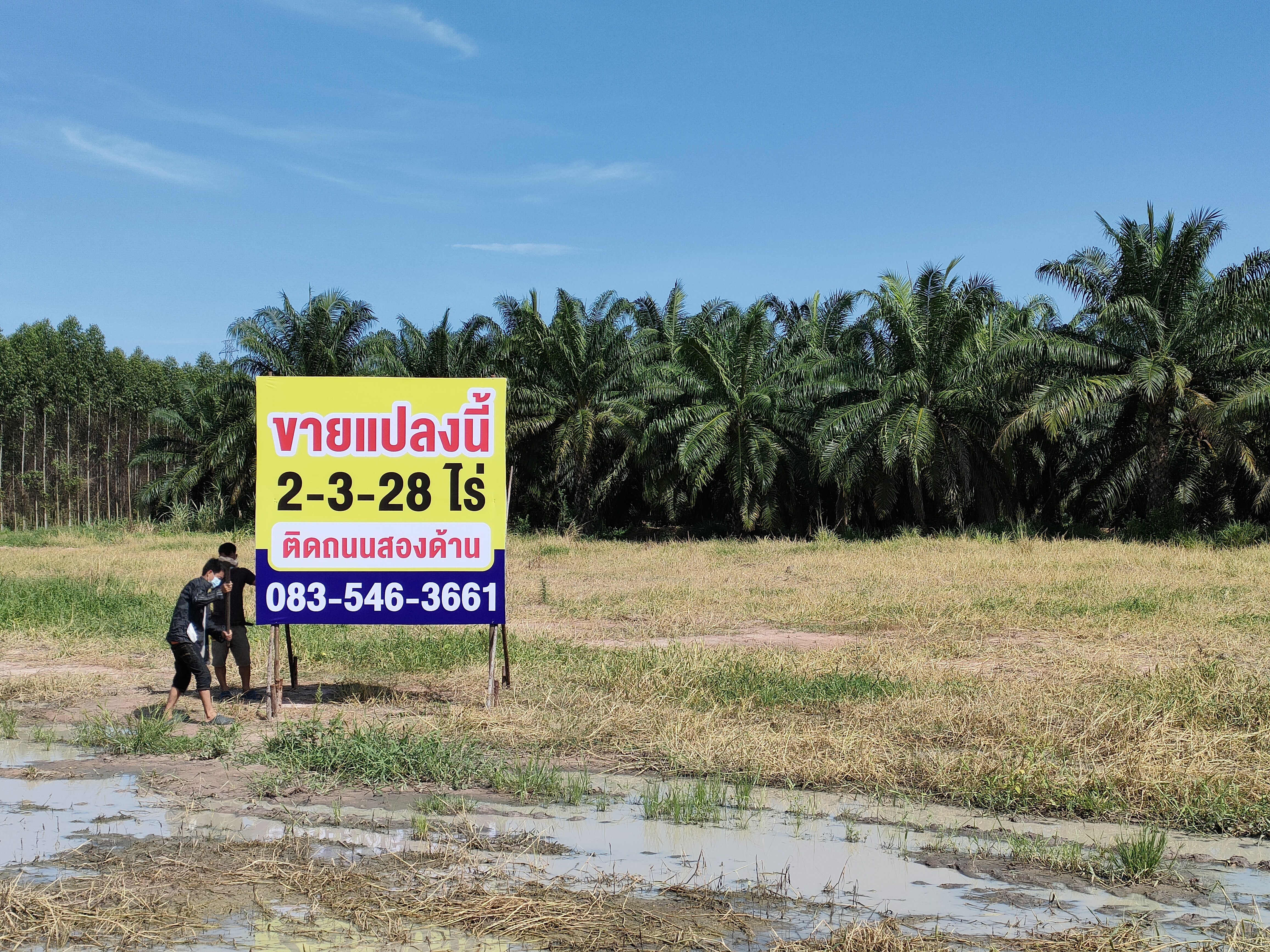 ที่ดิน ติดถนน 2 ด้าน ราคาถูก หนองชาก ใกล้สนามฟุตบอลเบียร์ช้าง ชลบุรี 2-3-28