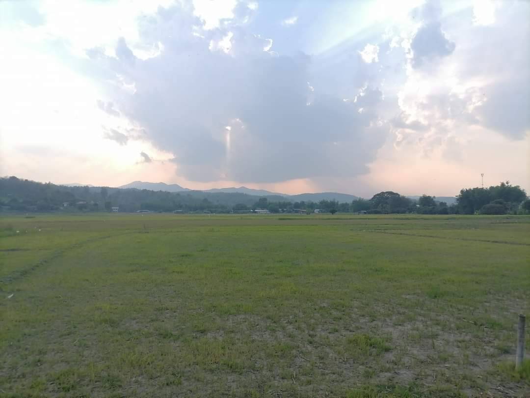 ที่นา วิวดอย ติดน้ำแม่ริม เชียงใหม่ 5-2-22 ไร่