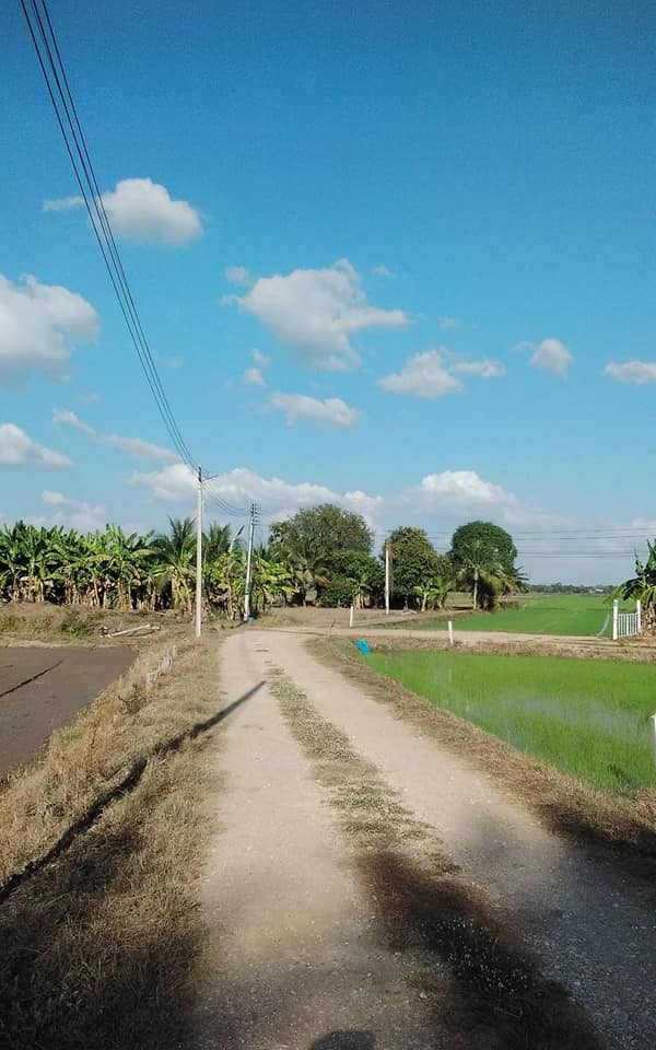 ที่ดินแปลงสวย อ.เมืองพิษณุโลก จ.พิษณุโลก 4-1-73 ไร่