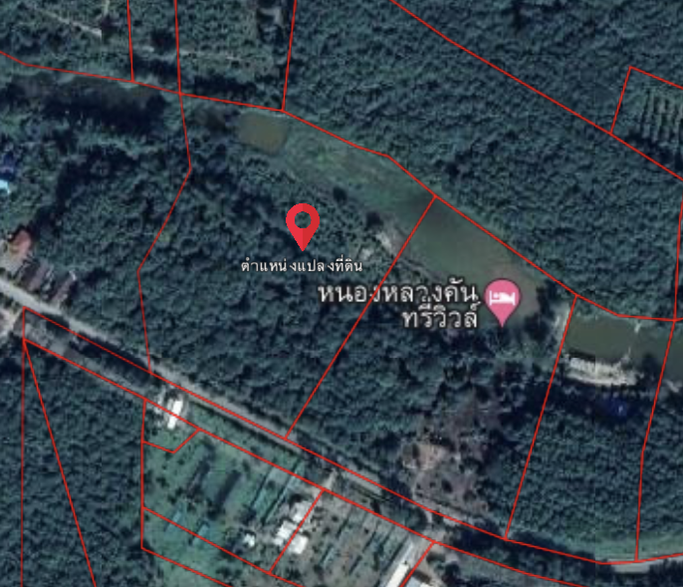 ที่ดินเปล่า ต.หนองป่าก่อ อ.ดอยหลวง เชียราย 26-3-16