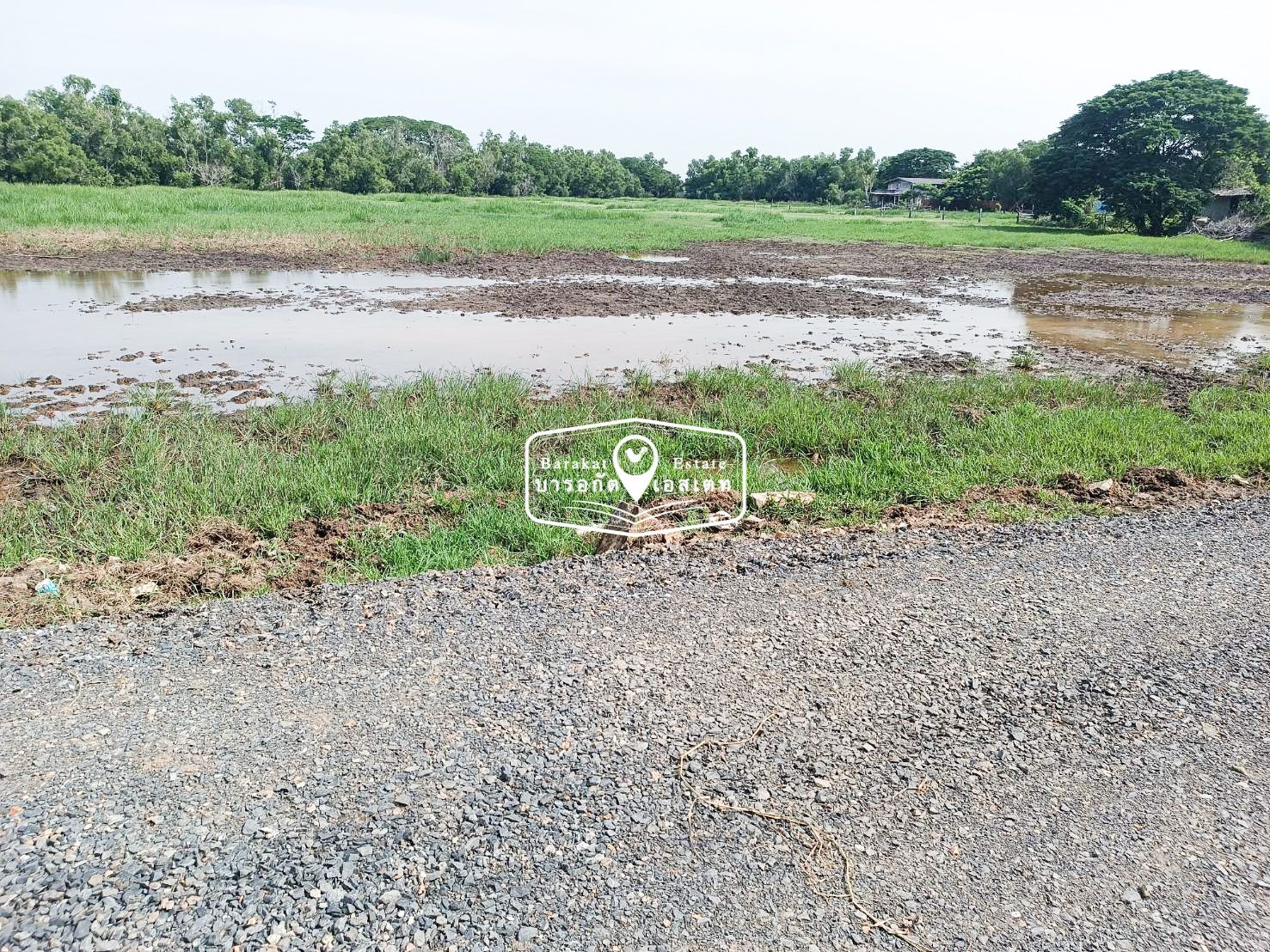 ลดสุดๆ ที่ดิน ประชาร่วมใจ 13 (ตาหวาน) แขวงทรายกองดินใต้ เขตคลองสามวา 