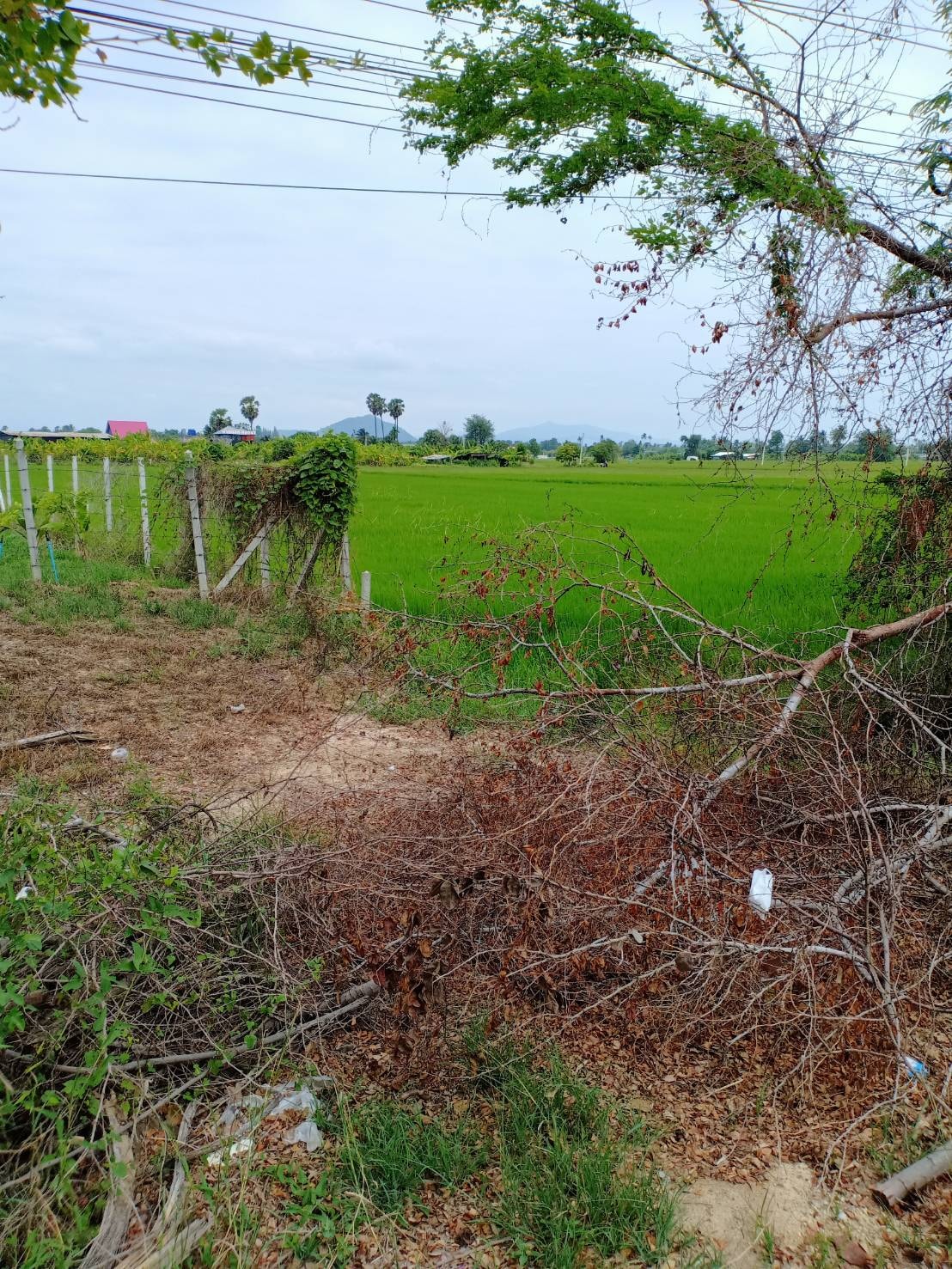 ที่ดินเปล่าติดถนน ท่ายาง เพชรบุรี 3-2-4