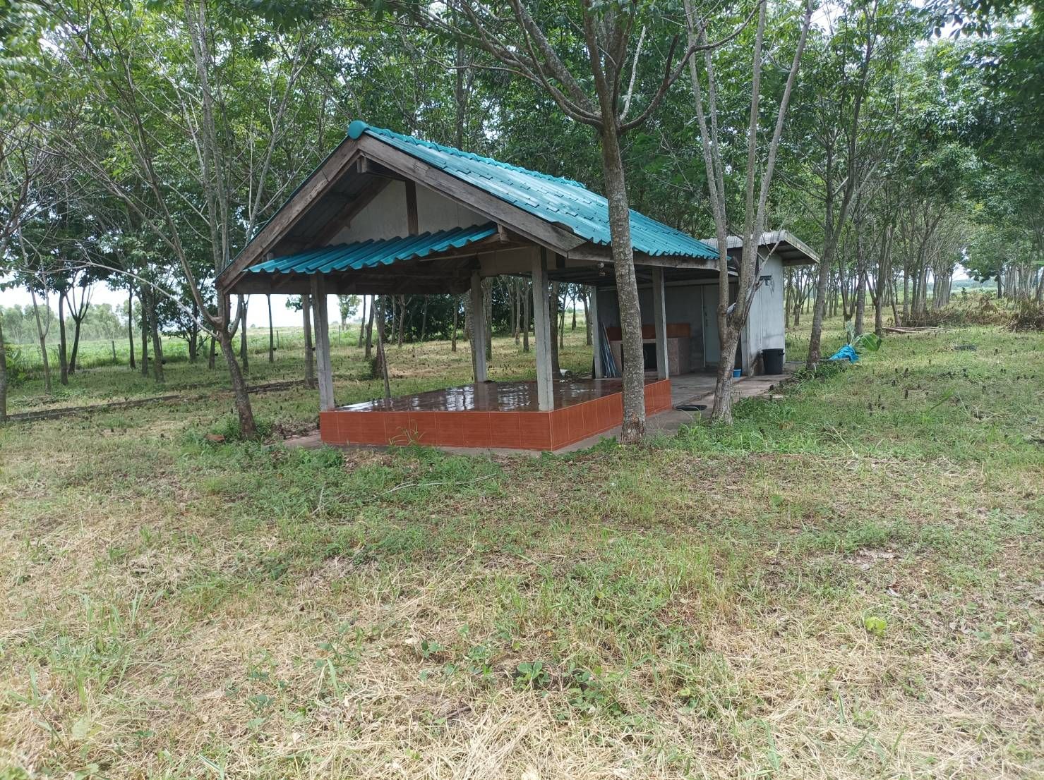ขายที่ดินอุดรธานี โนนสะอาด ที่ดินแปลงสวย ติดถนนมิตรภาพ น่าลงทุน 3-2-60 ไร่.