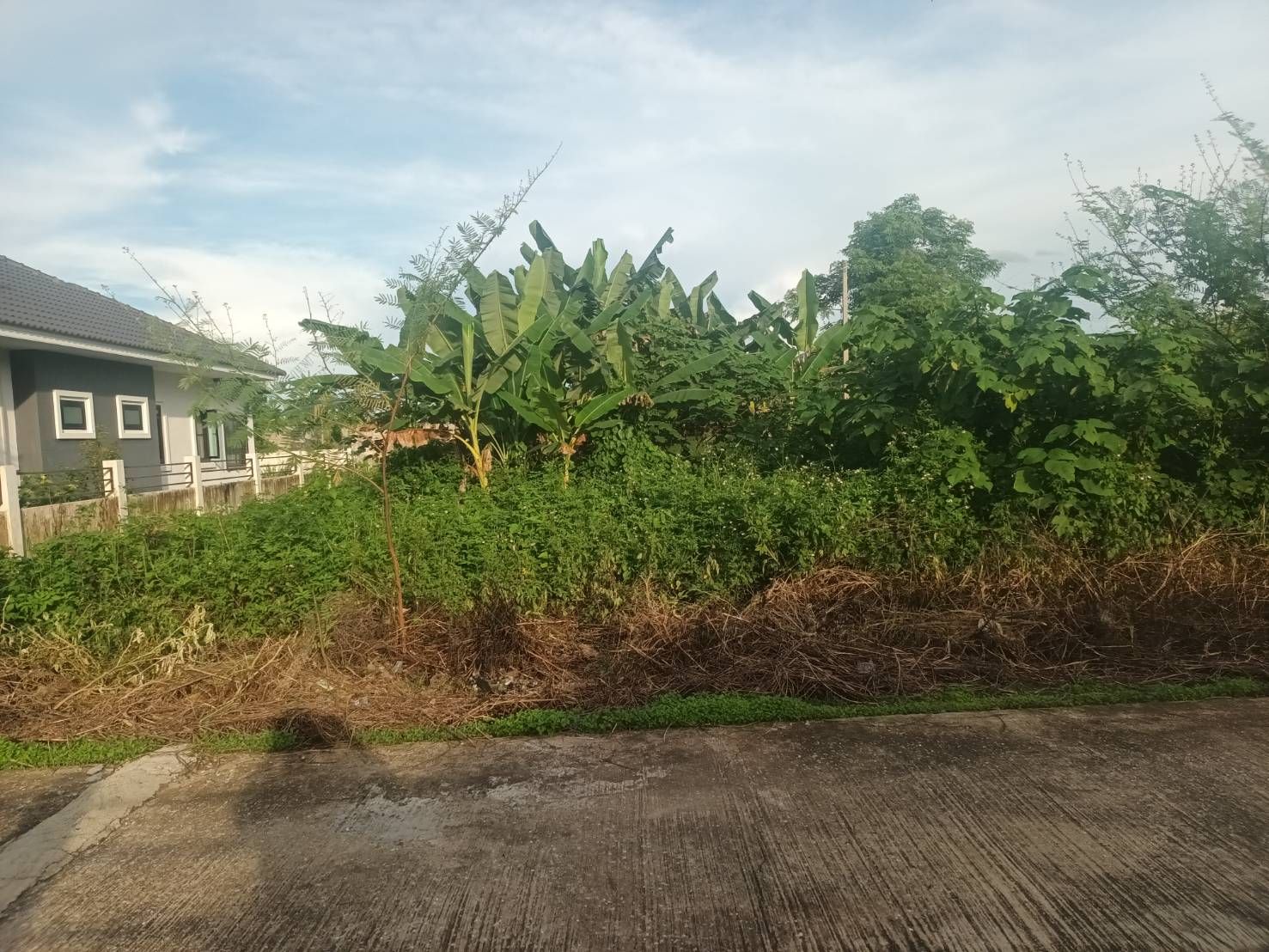 ขายที่ดินเชียงราย อำเภอเวียงชัย 
