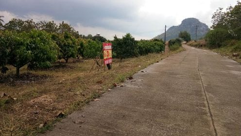ที่ดินบรรยากาศดี ใกล้ถนนคชเสนีย์ หนองไผ่ เพชรบูรณ์