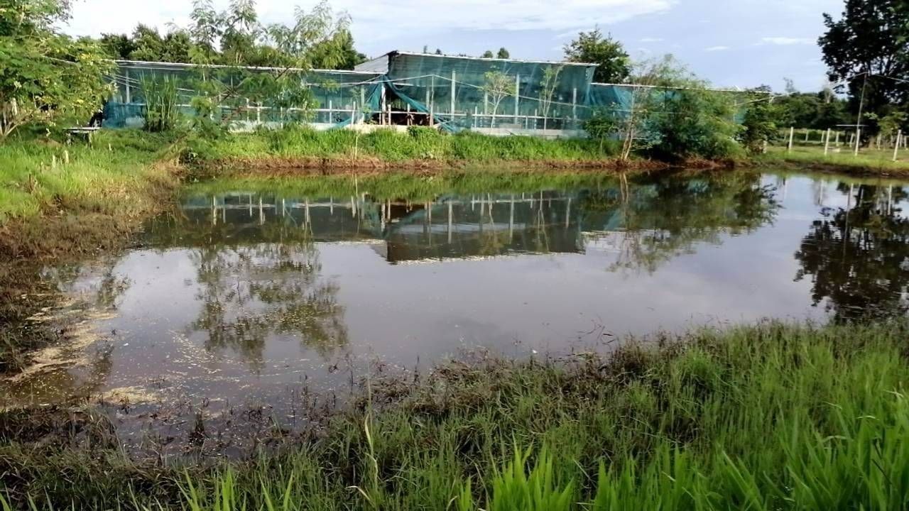 ที่ดิน พร้อมโรงปศุสัตว์ ต่อยอดได้เลย