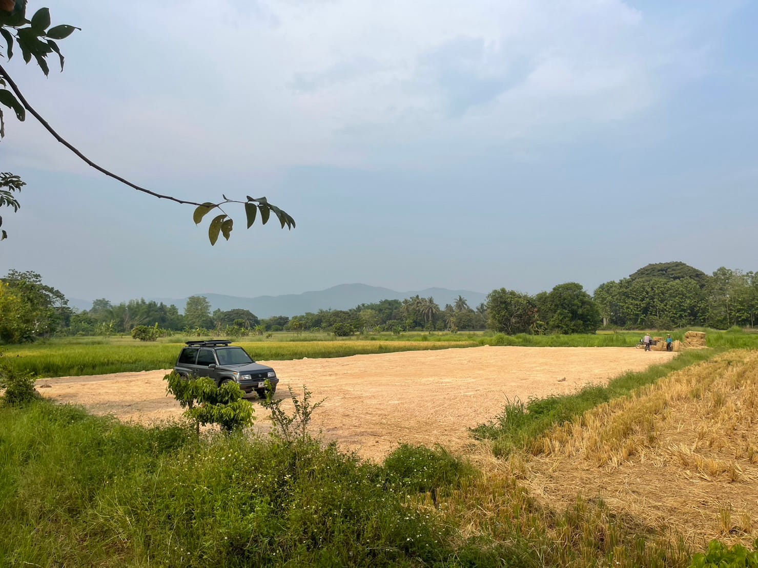 ขายที่ดินติดน้ำติดถนนวิวทุ่งนาอยู่ใกล้เขื่อนแม่กวงอุดมธารา