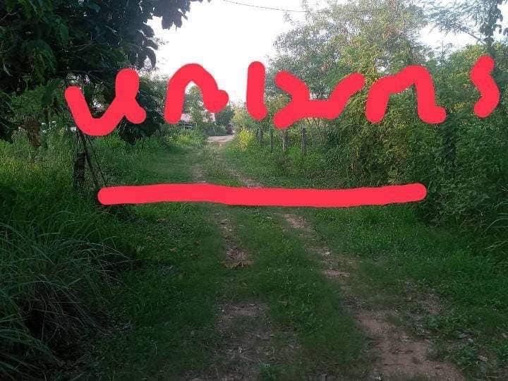 ขายที่ดินขอนแก่น เมืองขอนแก่น 6-2-52