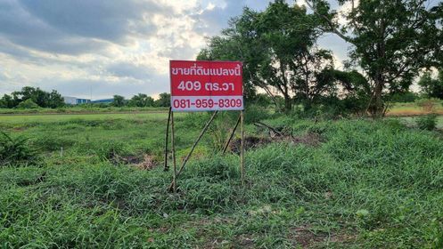 ขายที่ิดินเปล่า อ.บางใหญ่ จ.นนทบุรี 