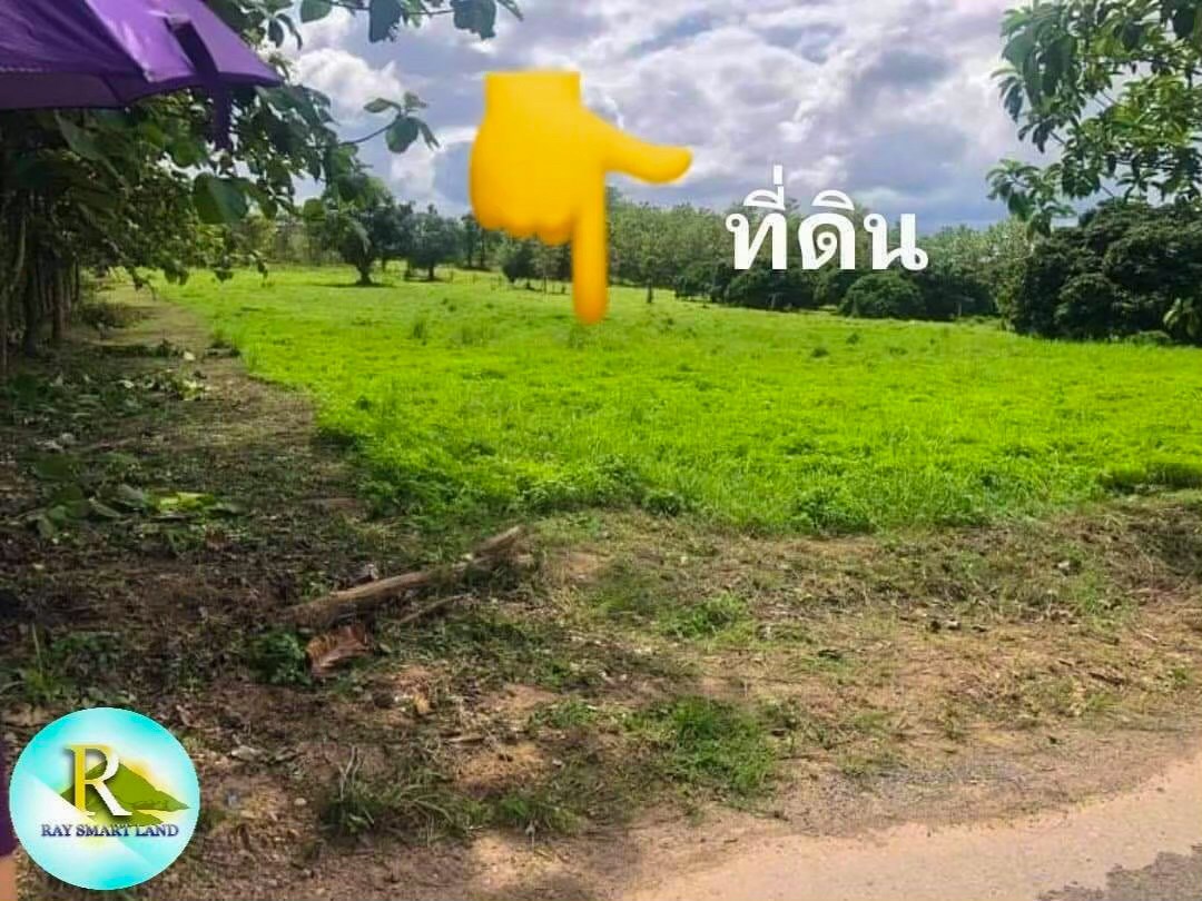 ที่ดินเปล่าแม่แตง เชียงใหม่ 10-3-48