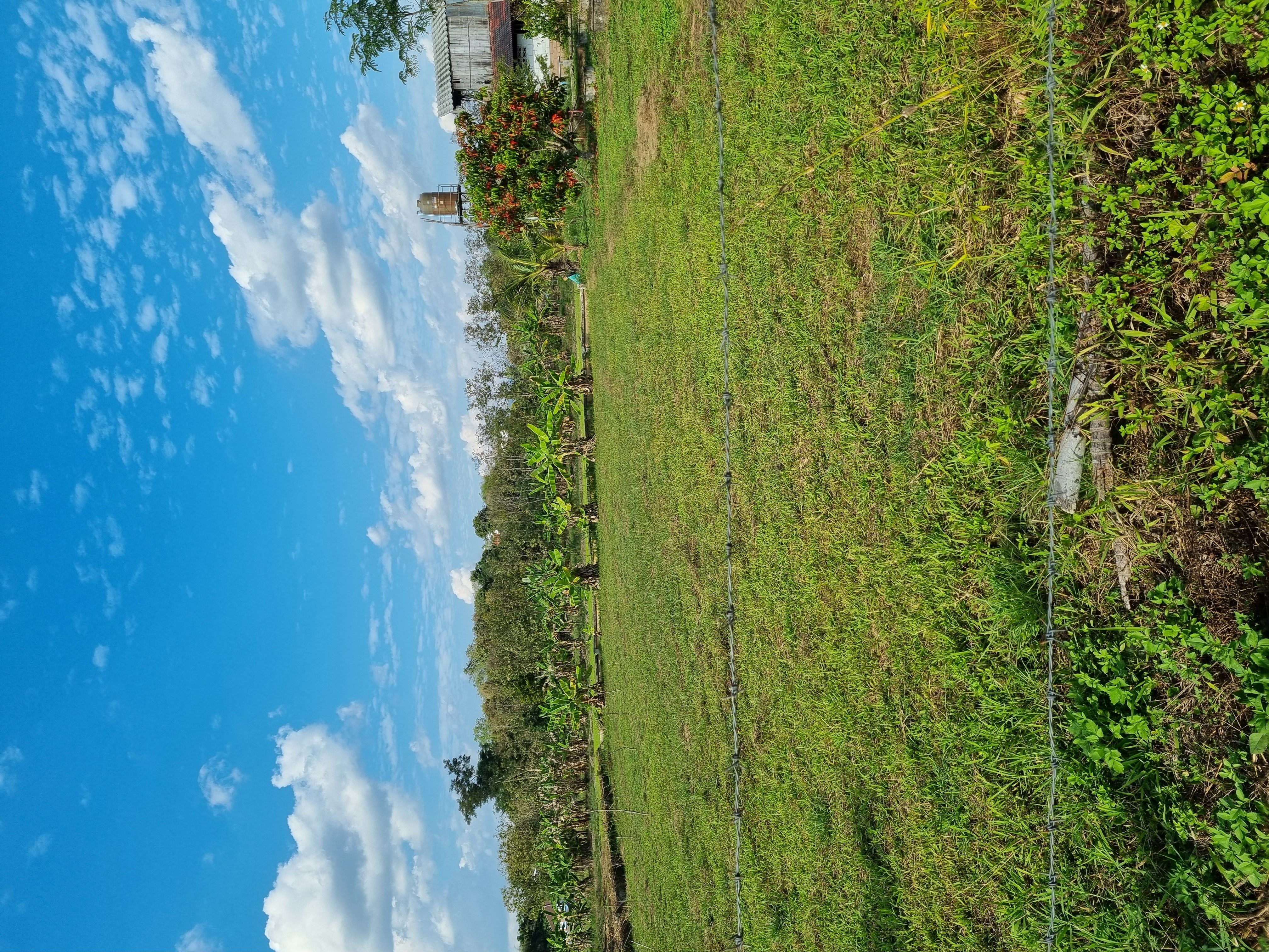 ขายที่ดินในเมืองเชียงราย 