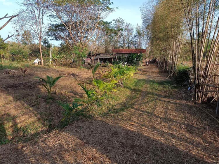 บ้านสวน พร้อมที่ดิน  แม่ทะ ลำปาง 389 ตรว.